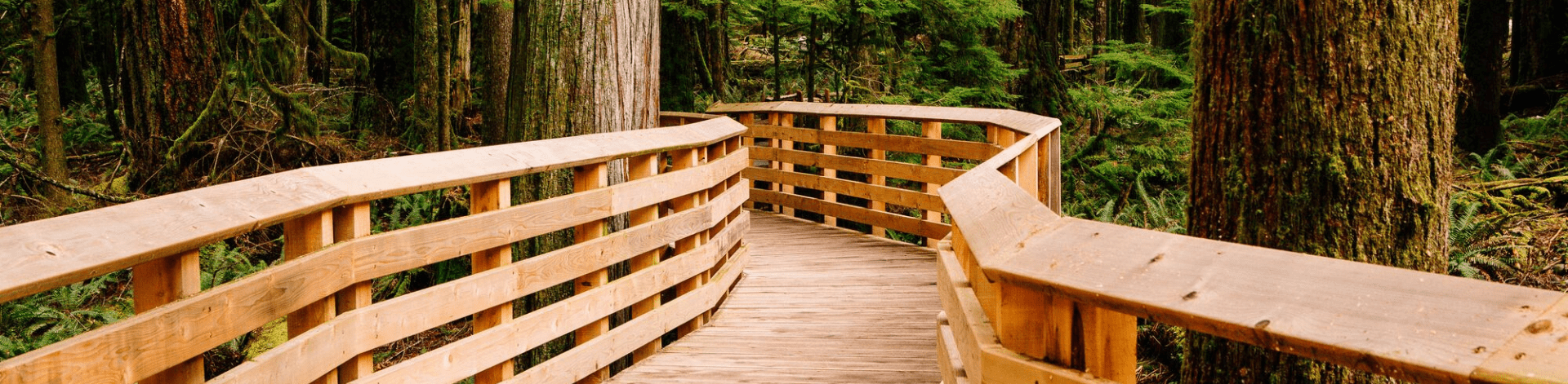 Wie oft sollte man Holz im Freien behandeln? Ein Leitfaden 