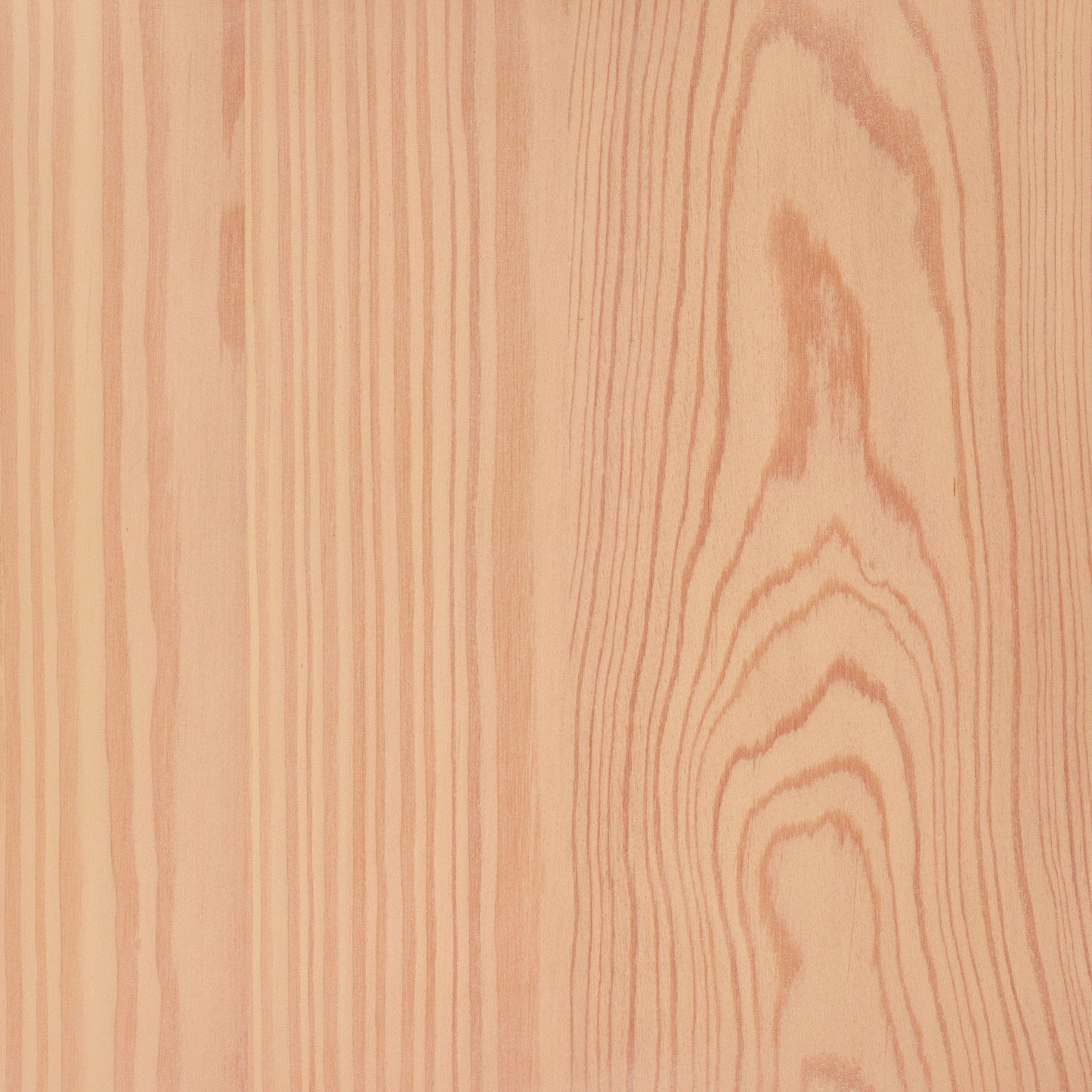 Larch