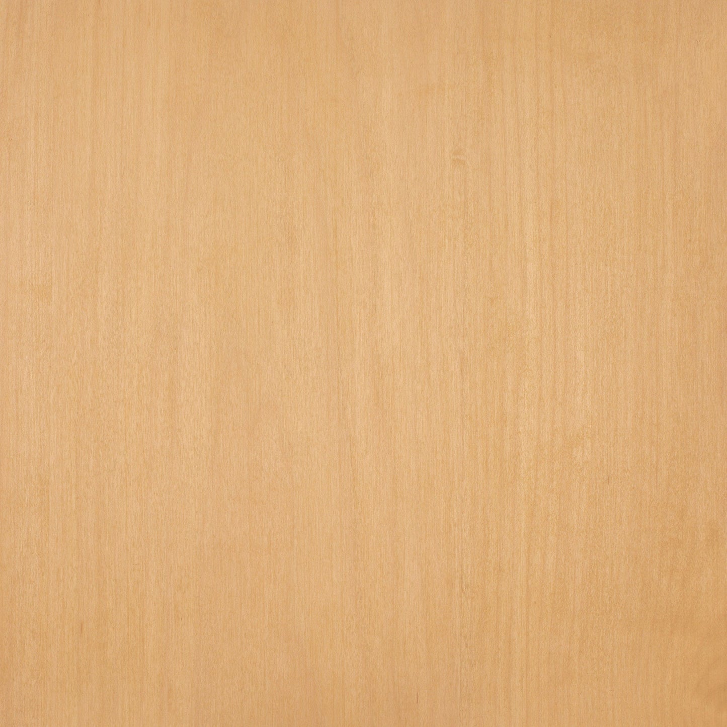 Maple
